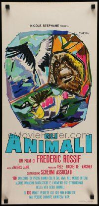 8m263 ANIMALS Italian locandina '64 cool Manfredo artwork montage of jungle animals!