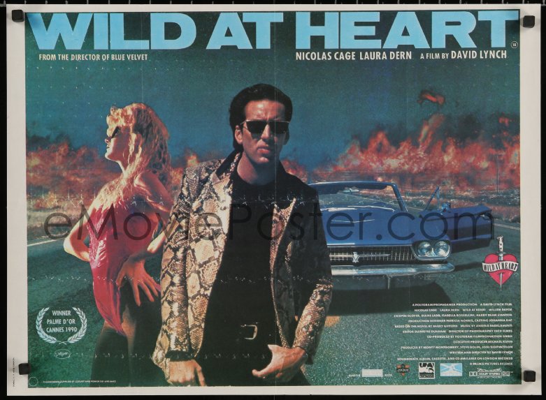 wild at heart 1990 quiz