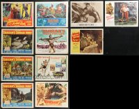 1d0423 LOT OF 11 1950-62 TARZAN AND BOMBA LOBBY CARDS 1950-1962 Lex Barker, Sheffield & more!