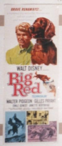 BIG RED insert