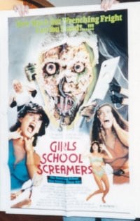 GIRLS SCHOOL SCREAMERS 1sheet