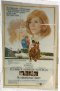 INTERNATIONAL VELVET 1sheet