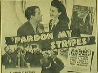 PARDON MY STRIPES 1/2sh