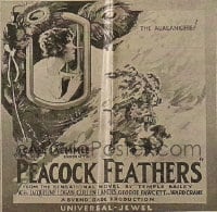 PEACOCK FEATHERS 6sh