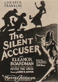 Silent Accuser 1sh