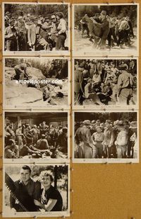 5898 GOD'S COUNTRY & THE WOMAN 7 vintage 8x10 stills R50s Brent