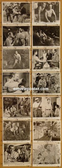 5812 SANTIAGO 14 vintage 8x10 stills '56 Alan Ladd, Podesta