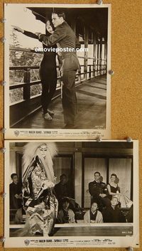 6308 SAYONARA 2 vintage 8x10 stills R60 Marlon Brando, Miiko Taka