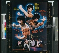 CLONES OF BRUCE LEE special '77