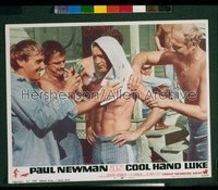 COOL HAND LUKE LC '67