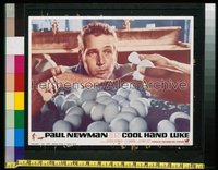 COOL HAND LUKE LC '67