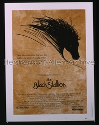 BLACK STALLION ('79) 30x40 '79