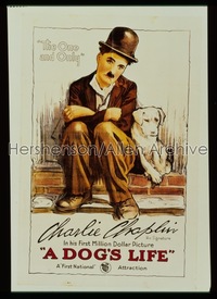 DOG'S LIFE S2 recreation 1sh 1998 great stone litho art of Charlie Chaplin & his mutt!