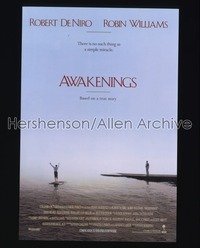 AWAKENINGS 1sh '90