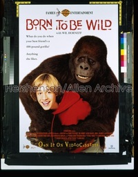 BORN TO BE WILD ('95) 1sh '95