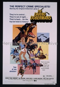 DARING DOBERMANS 1sh '73