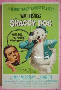 SHAGGY DOG R74 1sheet