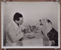 #004 PETE THE PUP AT DENTIST candid 8x10 