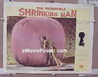 #1868 INCREDIBLE SHRINKING MAN lobby card #7 '57