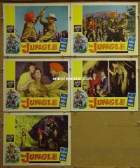 #7963 JUNGLE 5 LCs '52 Marie Windsor, India 