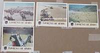 #1946 LAWRENCE OF ARABIA lobby card '62 David Lean