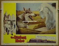 #8053 LITTLEST HOBO LC #8 '58 London the Dog! 