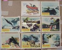 #340 RODAN 8 LCs '56 Toho, sci-fi 