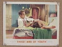 #465 SWEET BIRD OF YOUTH LC '62 Newman, Page 