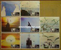 J370 JONATHAN LIVINGSTON SEAGULL 8 Mexican LCs '73 Bach