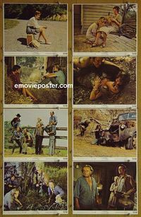 V504 LOLLY MADONNA XXX 8 color 8x10 mini lobby cards '73 Steiger