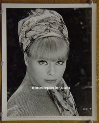 W245 ELKE SOMMER portrait vintage 8x10 still #3 1965