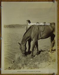 W267 EVELYN VENABLE portrait vintage 8x10 still 1934