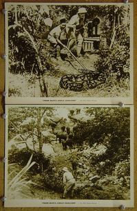 V463 JUNGLE CAVALCADE 2 vintage 8x10 stills '41 Frank Buck