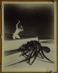 V434 INCREDIBLE SHRINKING MAN vintage 8x10 still #1 '57 Williams