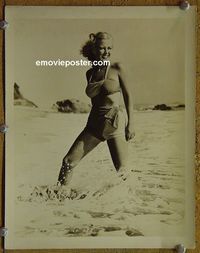 W394 JANIS CARTER portrait vintage 8x10 still 1950s