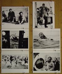 V453 JAWS 6 vintage 8x10 stills '75 Steven Spielberg, Scheider