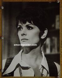 W421 JESSICA WALTER portrait vintage 8x10 still 1969