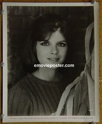 W483 KATHARINE ROSS portrait vintage 8x10 still #2 1970s