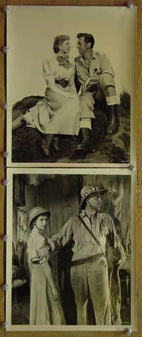 V468 KING SOLOMON'S MINES 2 vintage 8x10 stills '50 Deborah Kerr