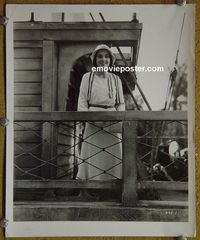 W596 MAUREEN O'SULLIVAN portrait vintage 8x10 still #1 1940s