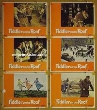 Y647 FIDDLER ON THE ROOF 6 lobby cards '72 Topol, Molly Picon