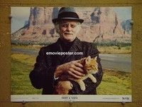 Z540 HARRY & TONTO deluxe 11x14 vintage still #6 '74 Art Carney & cat!