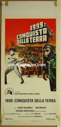 v613 CONQUEST OF THE PLANET OF THE APES Italian locandina movie poster '72