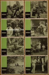 f137 SUPERBEAST 8 movie lobby cards '72 hunger for human flesh!