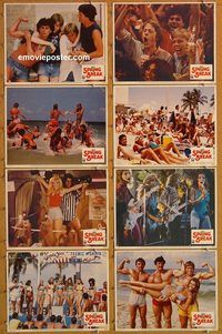 a655 SPRING BREAK 8 movie lobby cards '83 lots of sexy girls!