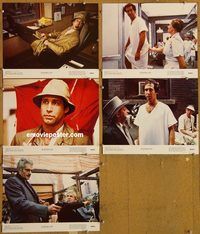 e586 OH HEAVENLY DOG 5 11x14 deluxe stills '80 Chevy Chase, Benji!