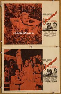 e185 OKLAHOMA 2 vintage movie lobby cards R63 Gordon MacRae, Shirley Jones