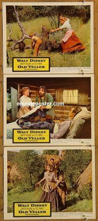 e345 OLD YELLER 3 vintage movie lobby cards '57 Disney, McGuire, Parker