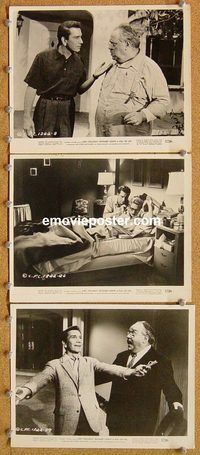 u596 FULL OF LIFE 3 8x10 movie stills '57 Judy Holliday, Conte