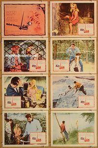 b070 LILITH 8 movie lobby cards '64 Warren Beatty, Jean Seburg